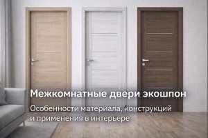 Межкомнатные двери экошпон: особенности материала, конструкций и применения в интерьере